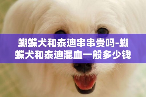 蝴蝶犬和泰迪串串貴嗎-蝴蝶犬和泰迪混血一般多少錢一只?