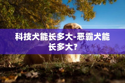 科技犬能長多大-惡霸犬能長多大？