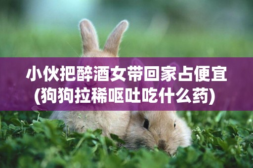 小伙把醉酒女帶回家占便宜(狗狗拉稀嘔吐吃什么藥) 