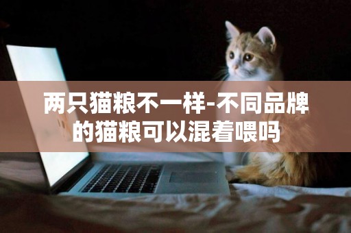兩只貓糧不一樣-不同品牌的貓糧可以混著喂嗎