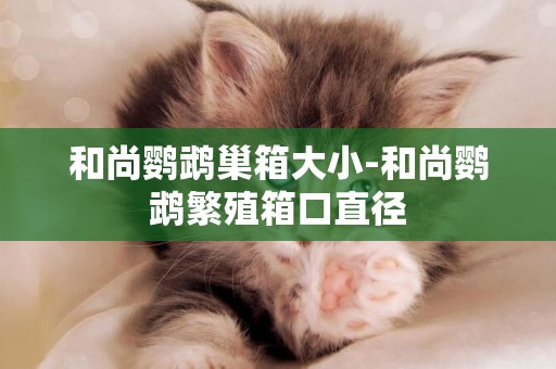 和尚鸚鵡巢箱大小-和尚鸚鵡繁殖箱口直徑