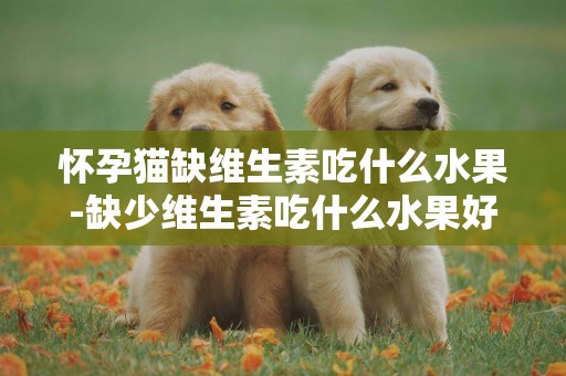 懷孕貓缺維生素吃什么水果-缺少維生素吃什么水果好