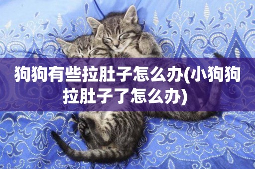 狗狗有些拉肚子怎么辦(小狗狗拉肚子了怎么辦) 