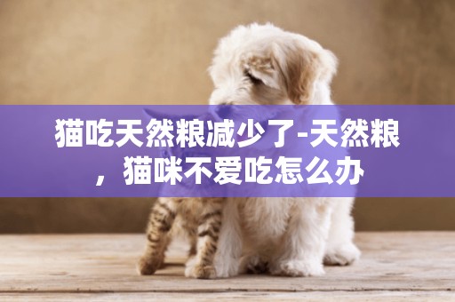 貓吃天然糧減少了-天然糧，貓咪不愛吃怎么辦