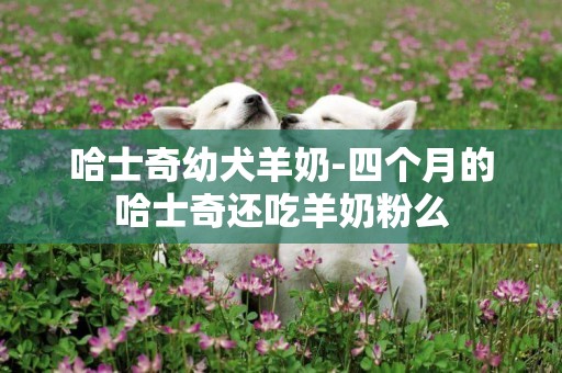 哈士奇幼犬羊奶-四個月的哈士奇還吃羊奶粉么