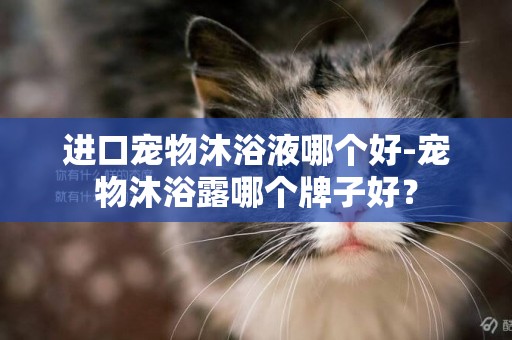 進口寵物沐浴液哪個好-寵物沐浴露哪個牌子好？