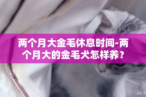 兩個月大金毛休息時間-兩個月大的金毛犬怎樣養？