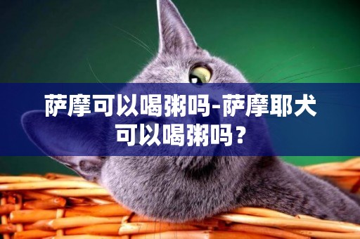 薩摩可以喝粥嗎-薩摩耶犬可以喝粥嗎？