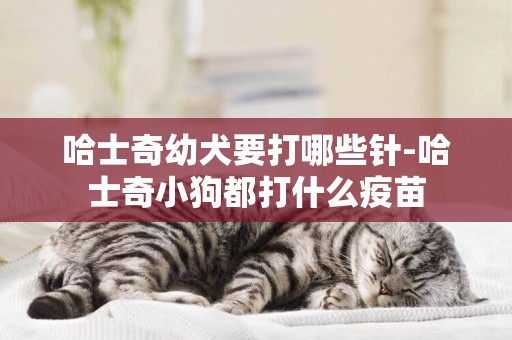 哈士奇幼犬要打哪些針-哈士奇小狗都打什么疫苗