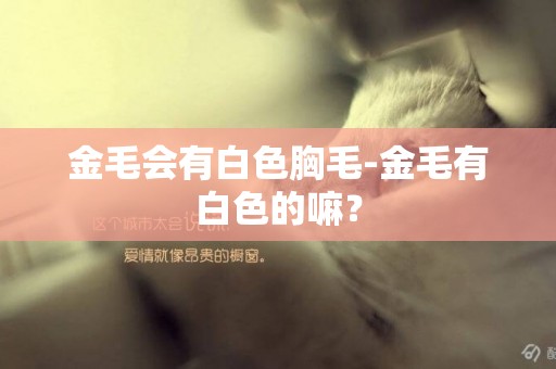 金毛會有白色胸毛-金毛有白色的嘛？