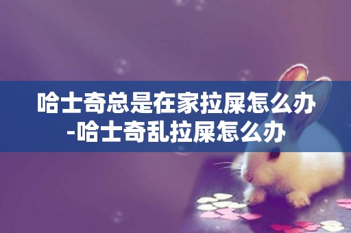 哈士奇總是在家拉屎怎么辦-哈士奇亂拉屎怎么辦