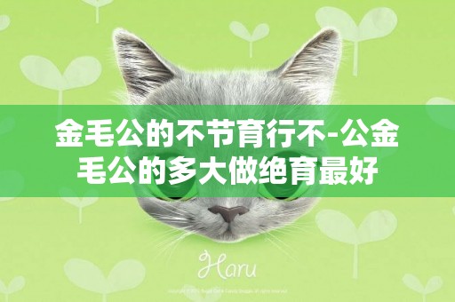金毛公的不節育行不-公金毛公的多大做絕育最好