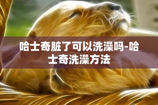 哈士奇臟了可以洗澡嗎-哈士奇洗澡方法