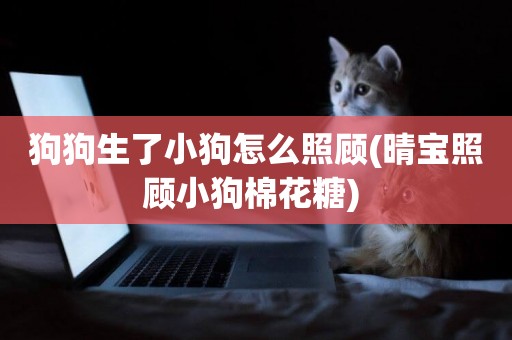 狗狗生了小狗怎么照顧(晴寶照顧小狗棉花糖) 