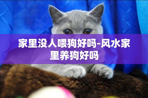 家里沒人喂狗好嗎-風水家里養狗好嗎