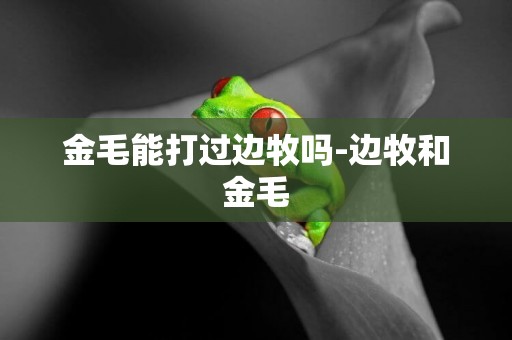 金毛能打過邊牧嗎-邊牧和金毛