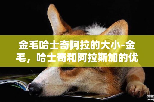 金毛哈士奇阿拉的大小-金毛，哈士奇和阿拉斯加的優缺點
