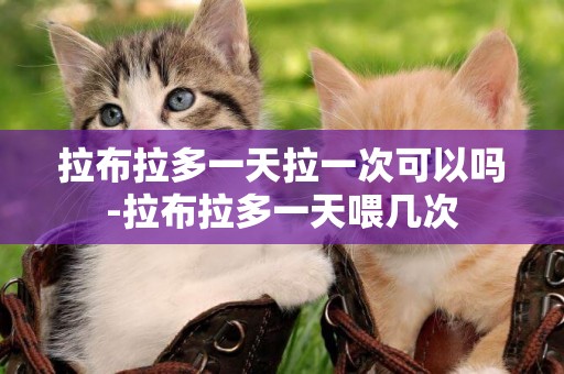 拉布拉多一天拉一次可以嗎-拉布拉多一天喂幾次