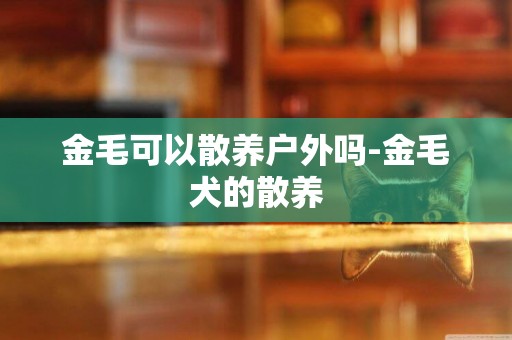 金毛可以散養戶外嗎-金毛犬的散養