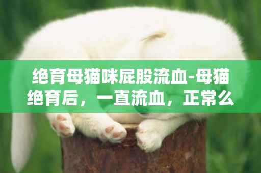 絕育母貓咪屁股流血-母貓絕育后，一直流血，正常么