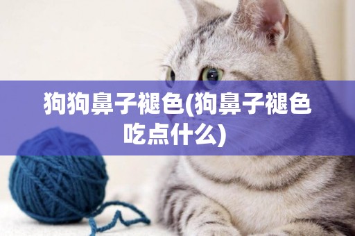 狗狗鼻子褪色(狗鼻子褪色吃點什么) 