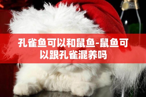 孔雀魚可以和鼠魚-鼠魚可以跟孔雀混養嗎