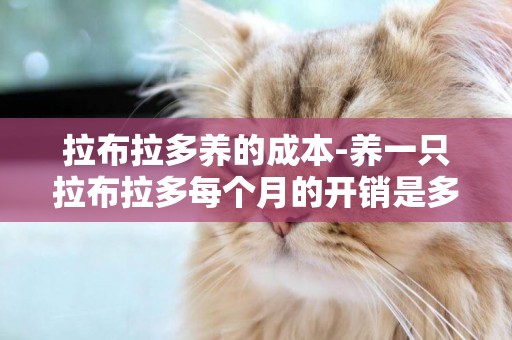 拉布拉多養的成本-養一只拉布拉多每個月的開銷是多少。