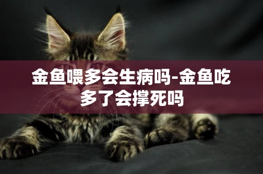 金魚喂多會生病嗎-金魚吃多了會撐死嗎