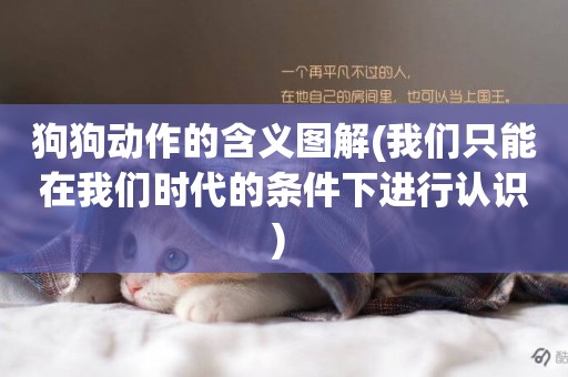 狗狗動作的含義圖解(我們只能在我們時代的條件下進行認識) 