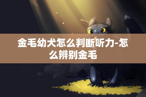 金毛幼犬怎么判斷聽力-怎么辨別金毛