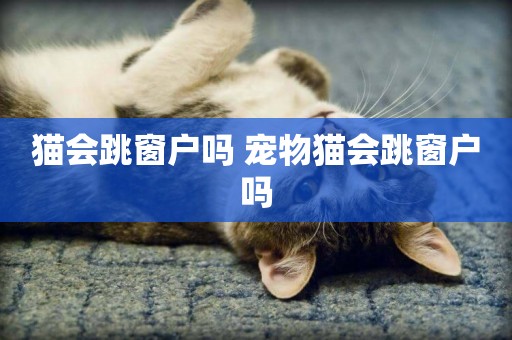 貓會跳窗戶嗎 寵物貓會跳窗戶嗎