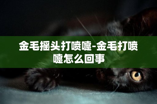 金毛搖頭打噴嚏-金毛打噴嚏怎么回事