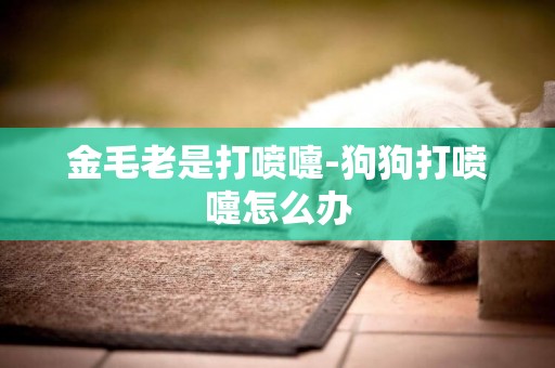 金毛老是打噴嚏-狗狗打噴嚏怎么辦