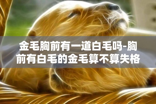 金毛胸前有一道白毛嗎-胸前有白毛的金毛算不算失格？