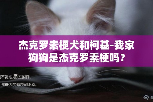 杰克羅素梗犬和柯基-我家狗狗是杰克羅素梗嗎？