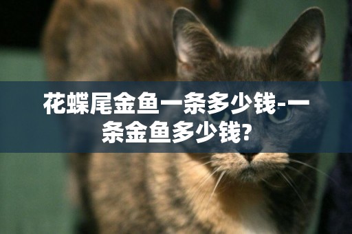 花蝶尾金魚一條多少錢-一條金魚多少錢?