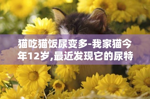 貓吃貓飯尿變多-我家貓今年12歲,最近發現它的尿特別多,不知道什么原因？請有經驗的貓主們給出出主意，