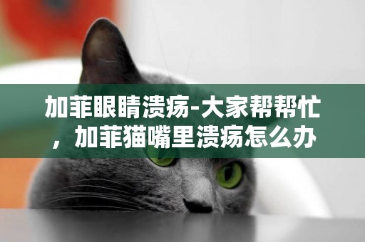 加菲眼睛潰瘍-大家幫幫忙，加菲貓嘴里潰瘍怎么辦