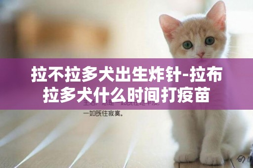 拉不拉多犬出生炸針-拉布拉多犬什么時間打疫苗