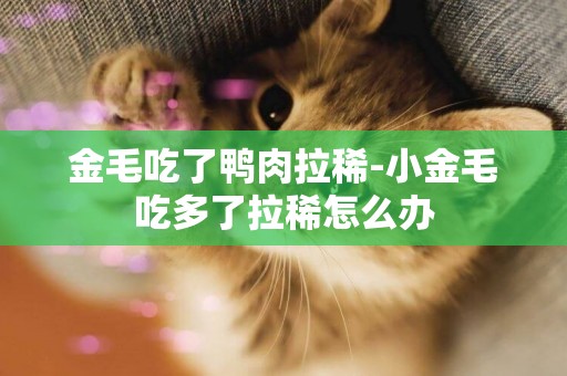 金毛吃了鴨肉拉稀-小金毛吃多了拉稀怎么辦