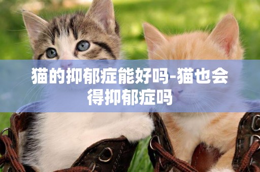 貓的抑郁癥能好嗎-貓也會得抑郁癥嗎