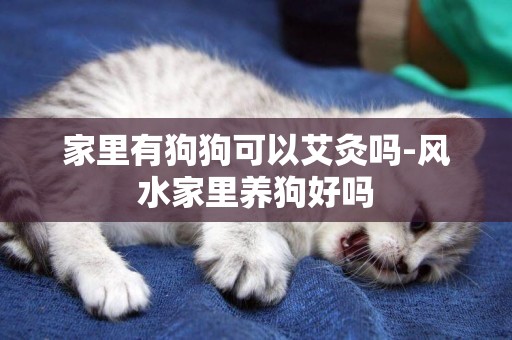 家里有狗狗可以艾灸嗎-風水家里養狗好嗎