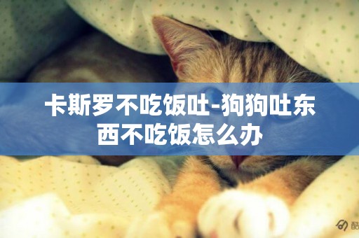 卡斯羅不吃飯吐-狗狗吐東西不吃飯怎么辦