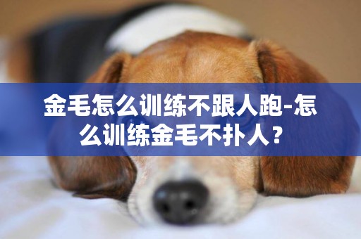 金毛怎么訓練不跟人跑-怎么訓練金毛不撲人？