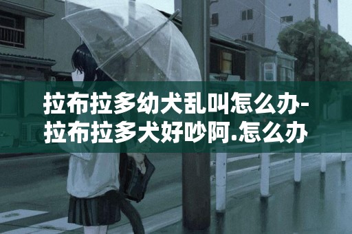 拉布拉多幼犬亂叫怎么辦-拉布拉多犬好吵阿.怎么辦