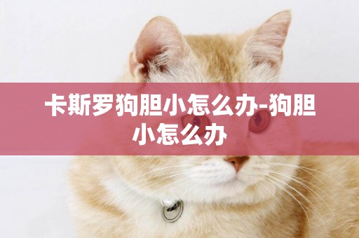 卡斯羅狗膽小怎么辦-狗膽小怎么辦