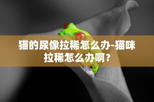 貓的尿像拉稀怎么辦-貓咪拉稀怎么辦啊？