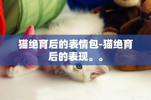 貓絕育后的表情包-貓絕育后的表現。。