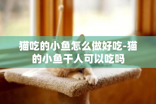 貓吃的小魚怎么做好吃-貓的小魚干人可以吃嗎