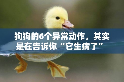 狗狗的6個異常動作，其實是在告訴你“它生病了” 